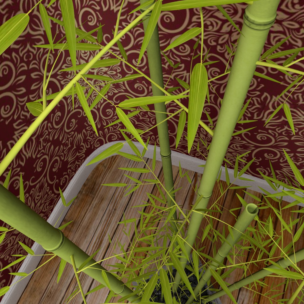 Bamboo preview image 3